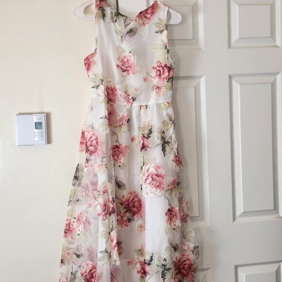 Floral Print Sheer Sleeveless Dress Brand New Women’s Fashion Outfit - Picture 1 of 12